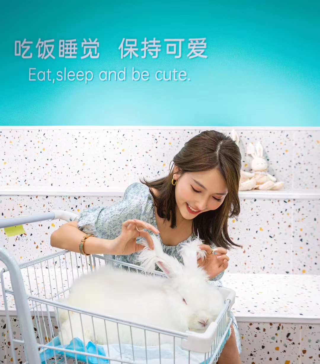 長毛兔養殖技術要點與剪毛方法介紹