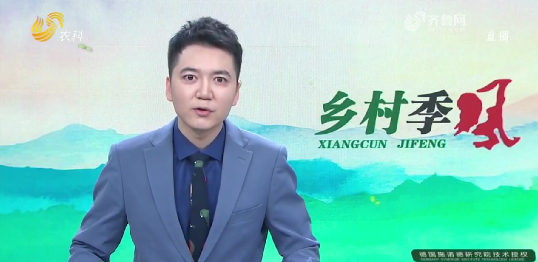 安哥拉長毛兔形態(tài)特征 安哥拉長毛兔主要價值