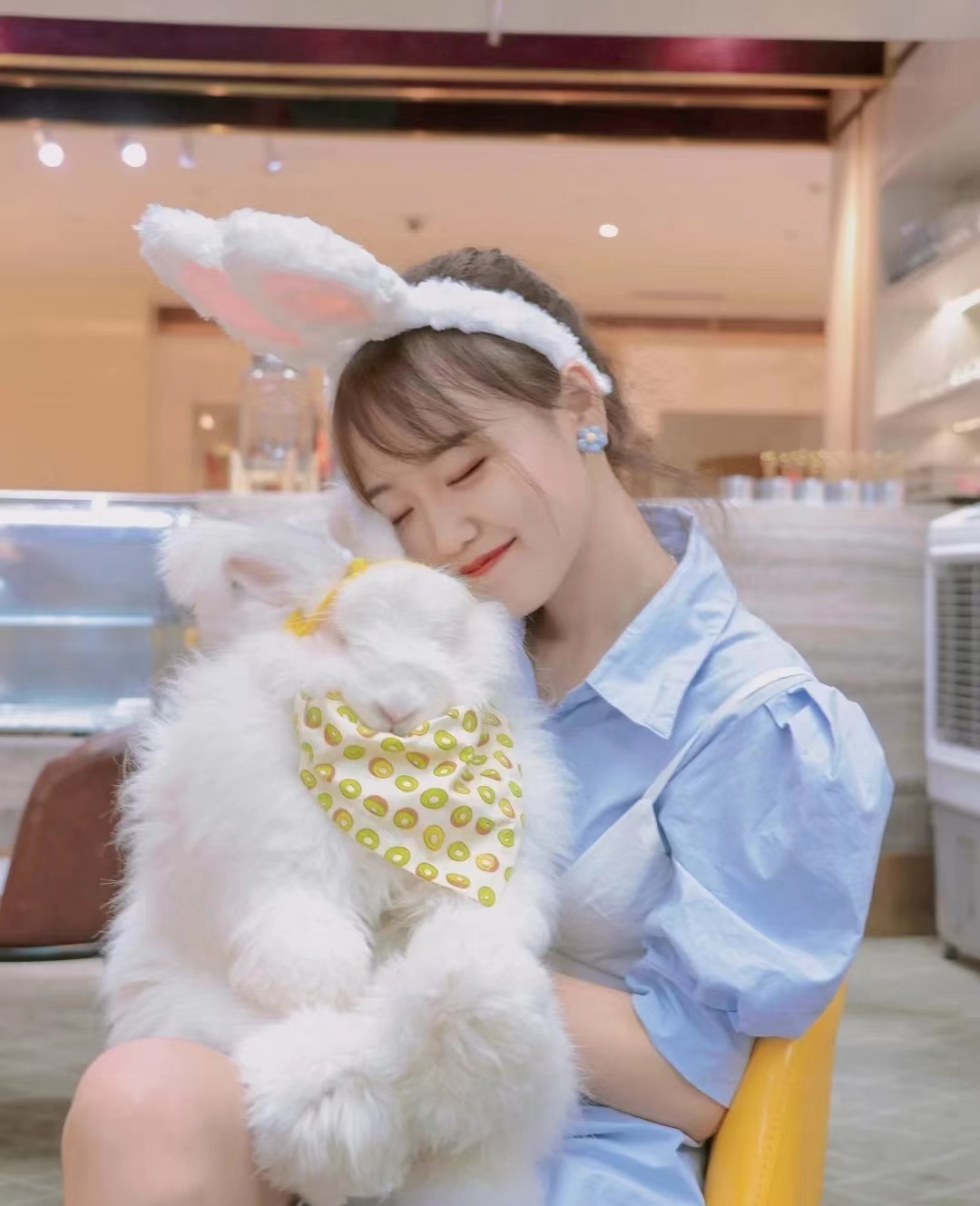 蒙陰長毛兔斷奶后通過以下幾點提升成活率