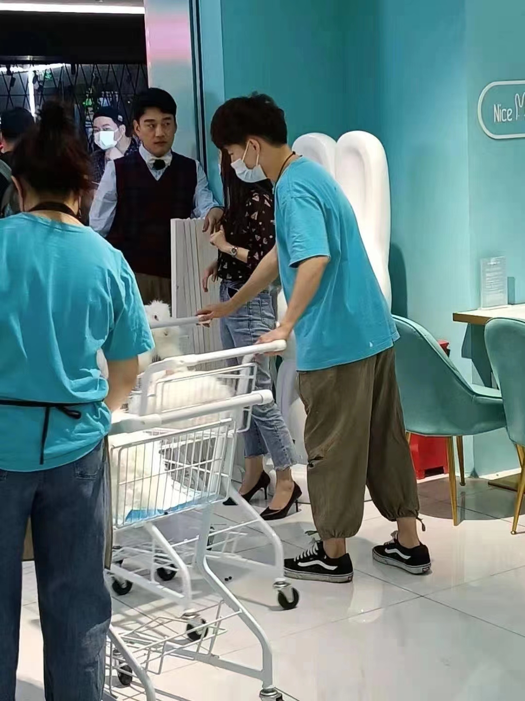 長毛兔的種類和飼養注意事項